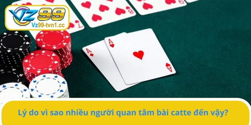 Lý do vì sao nhiều người quan tâm bài catte đến vậy?