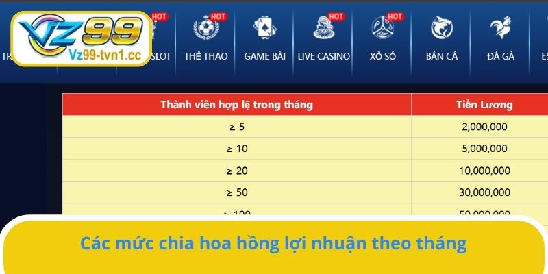 Các mức chia hoa hồng lợi nhuận theo tháng 